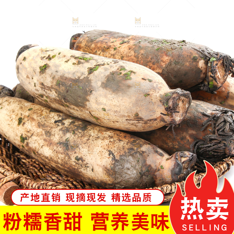 白底上放着莲藕