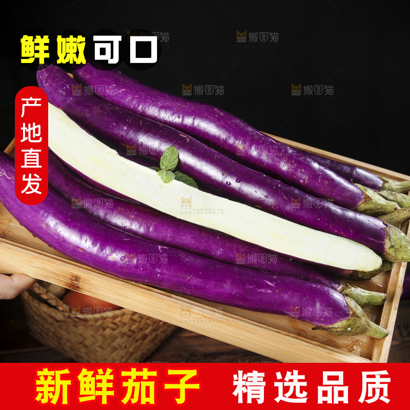 深底上的紫长茄子