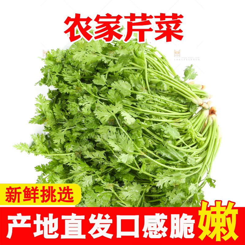 白底上的芹菜