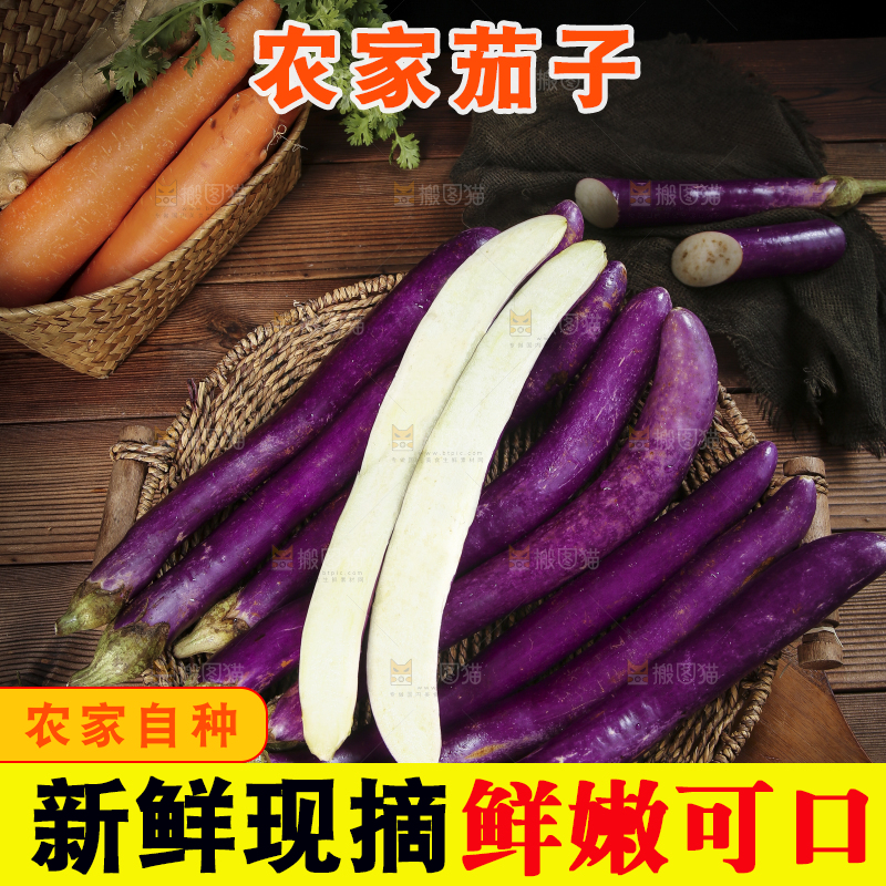 深底上的紫长茄子