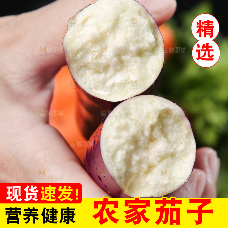 深底上的紫长茄子