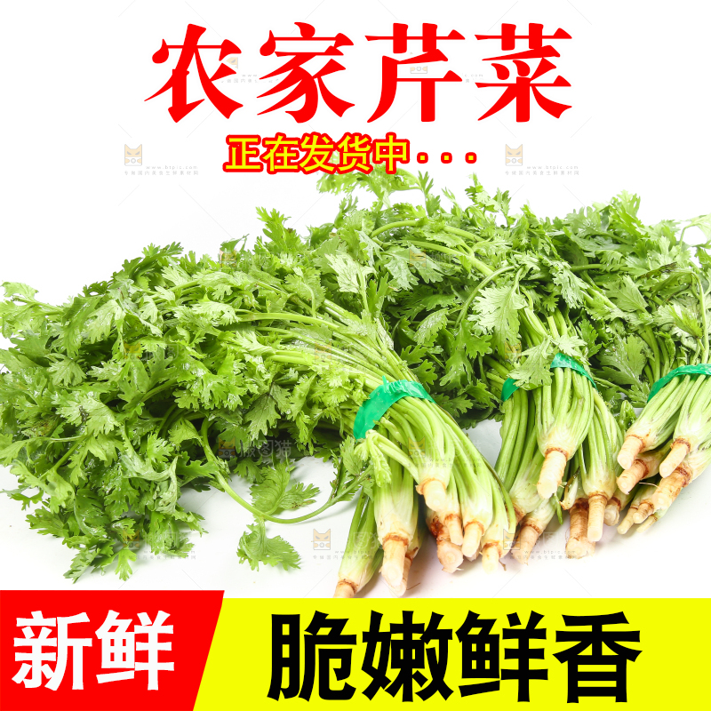 白底上的芹菜