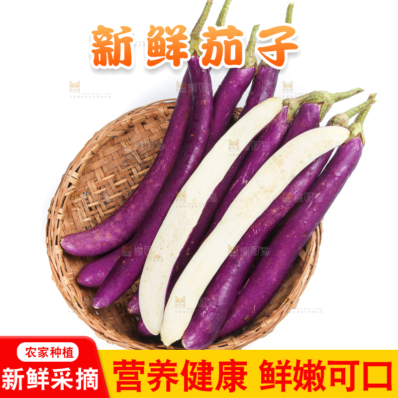 白底上的紫长茄子