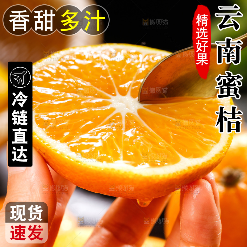 深底上的宜昌蜜桔