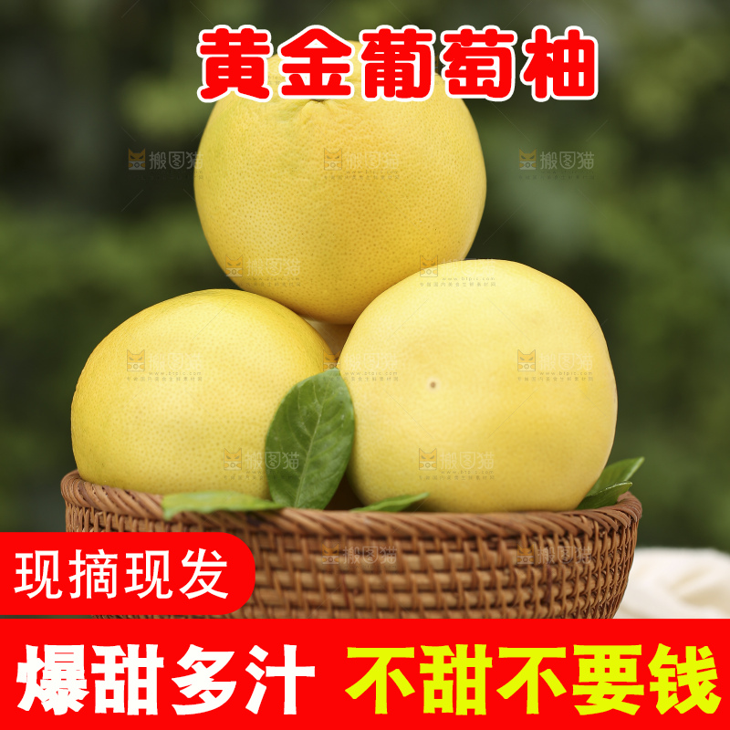 手里拿着黄金葡萄柚