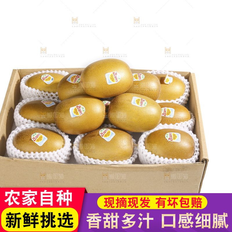 白底上的佳沛奇异果
