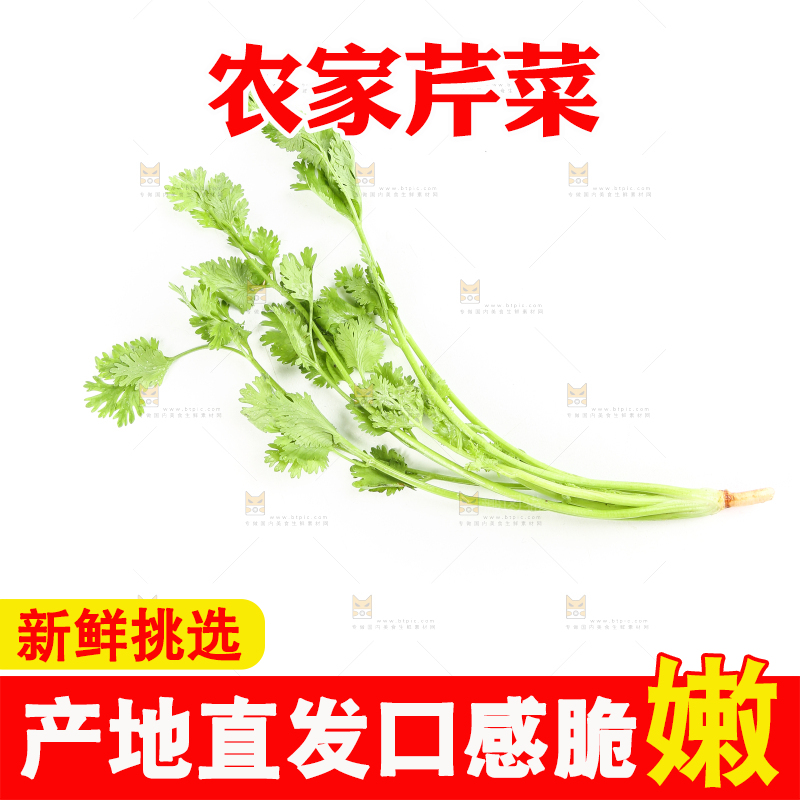 白底上的芹菜