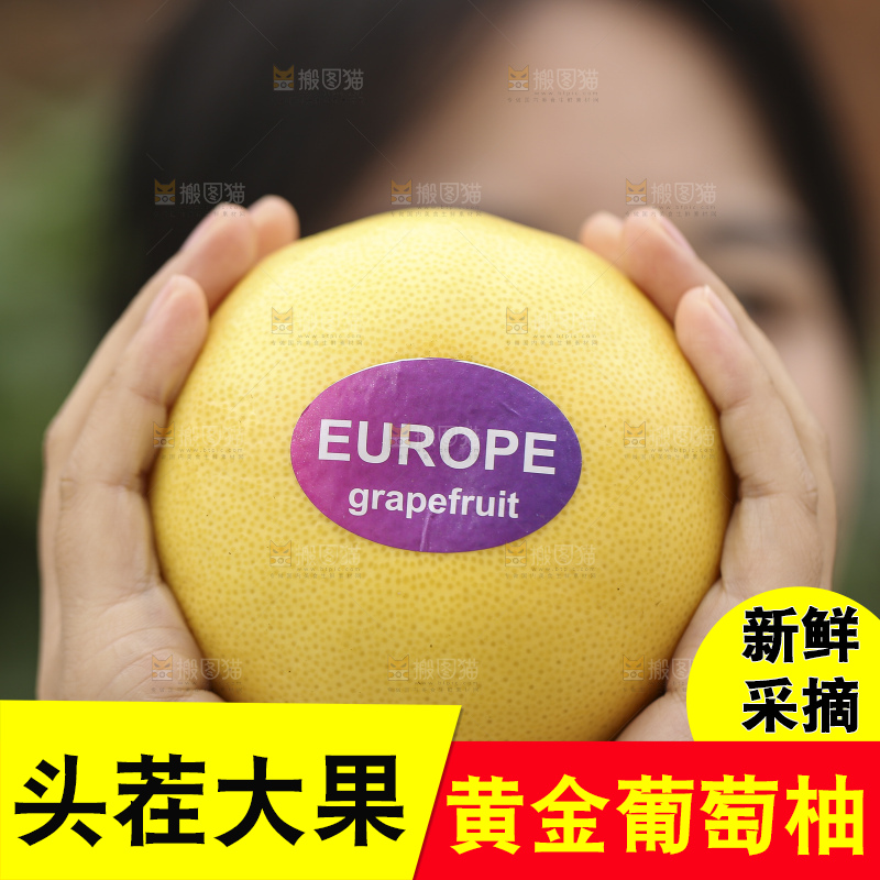 手里拿着黄金葡萄柚