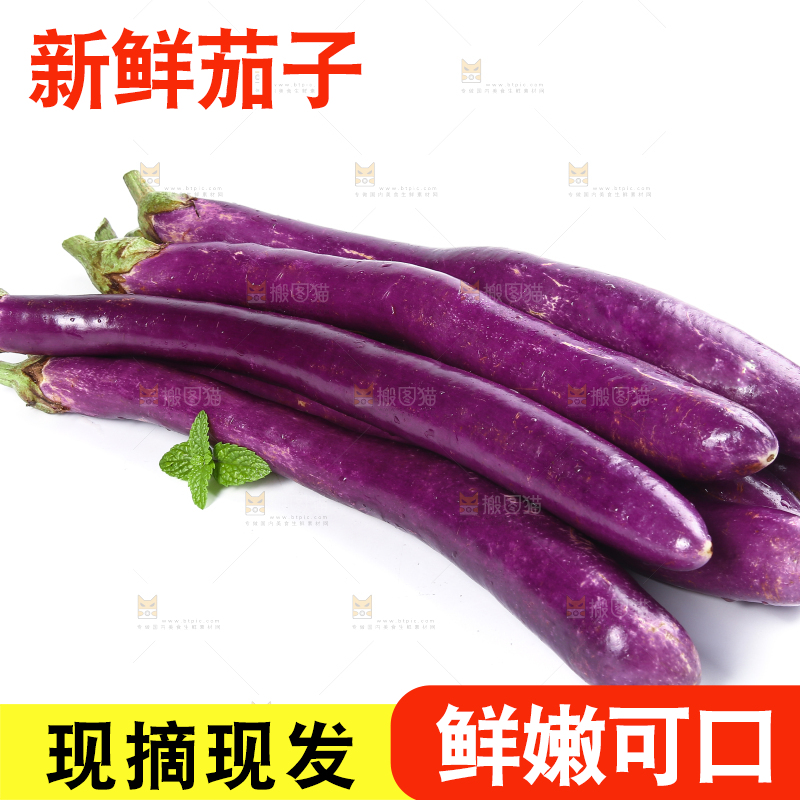 白底上的紫长茄子