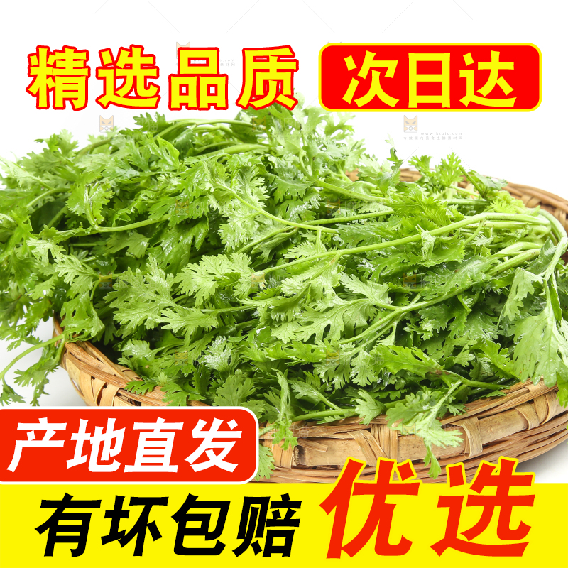 白底上的芹菜