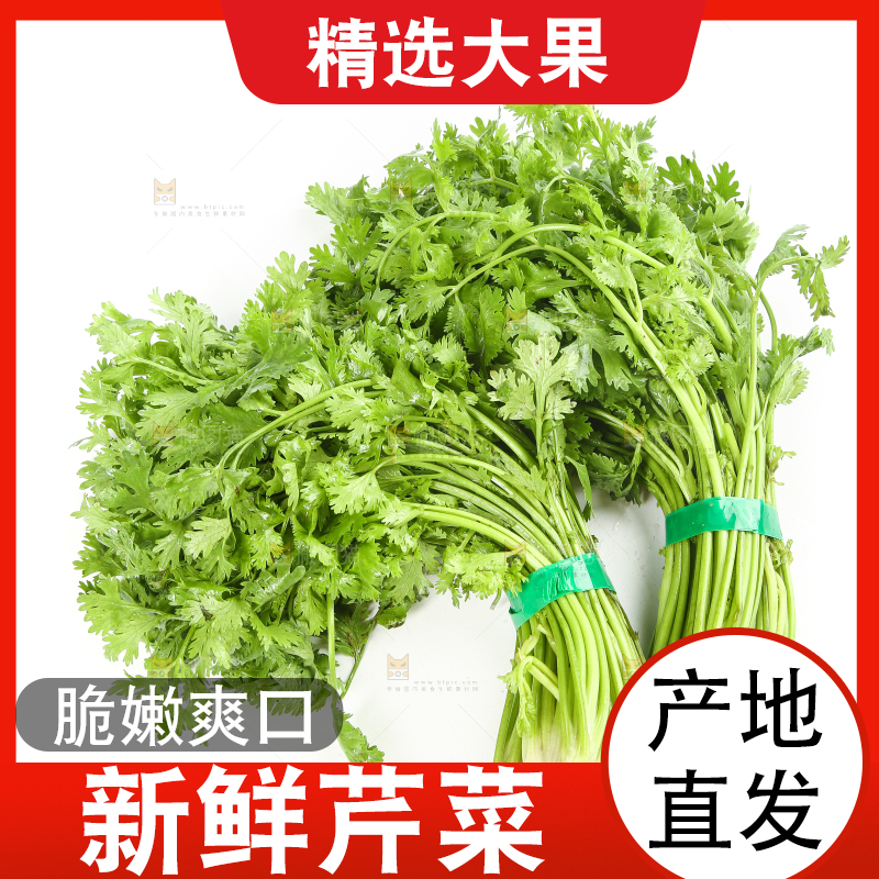 白底上的芹菜