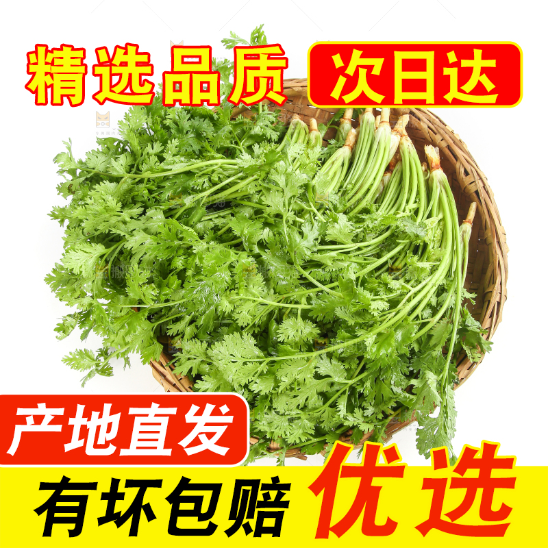 白底上的芹菜