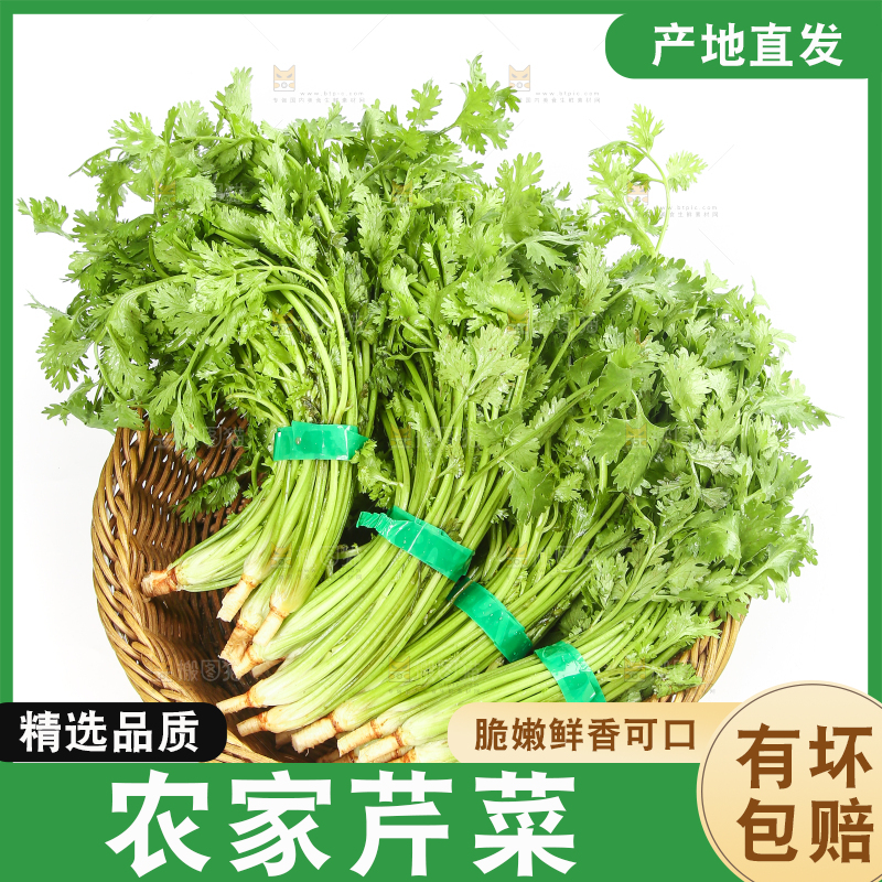 白底上的芹菜