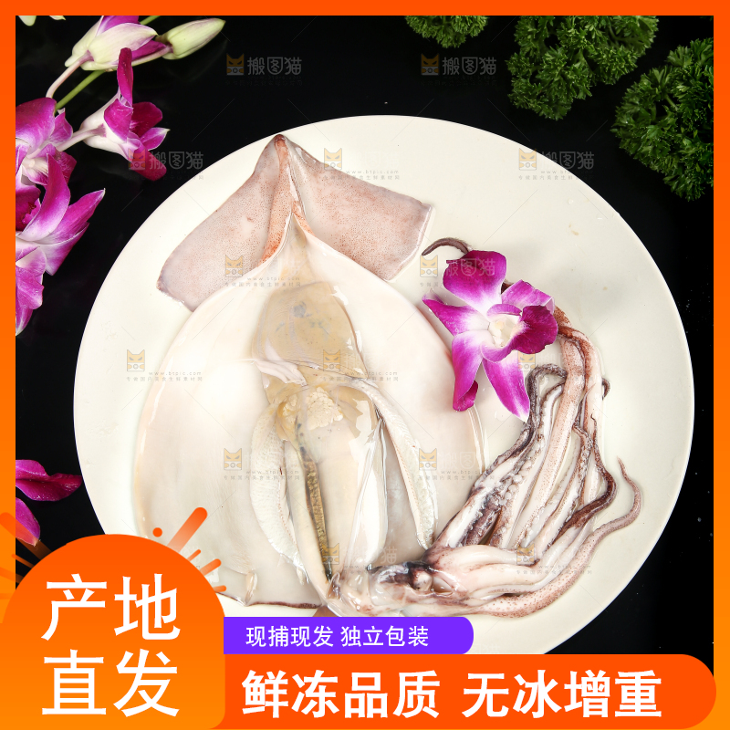 黑底上的鱿鱼