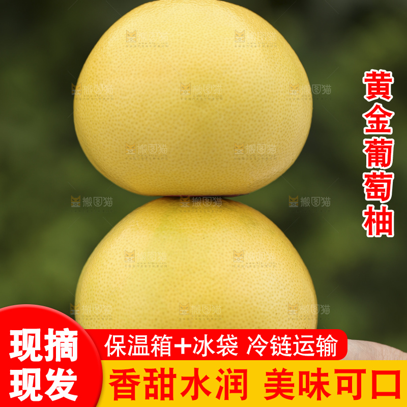 手里拿着黄金葡萄柚