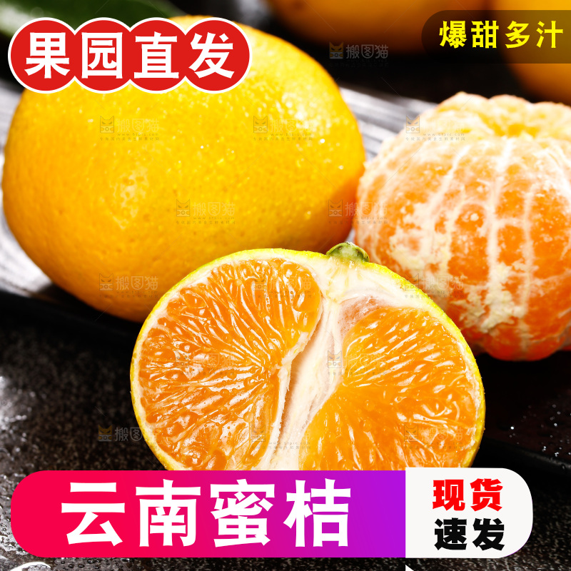深底上的宜昌蜜桔