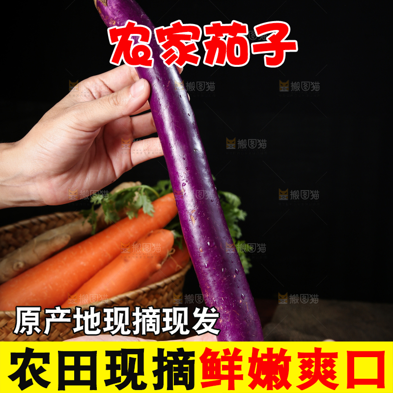 深底上的紫长茄子