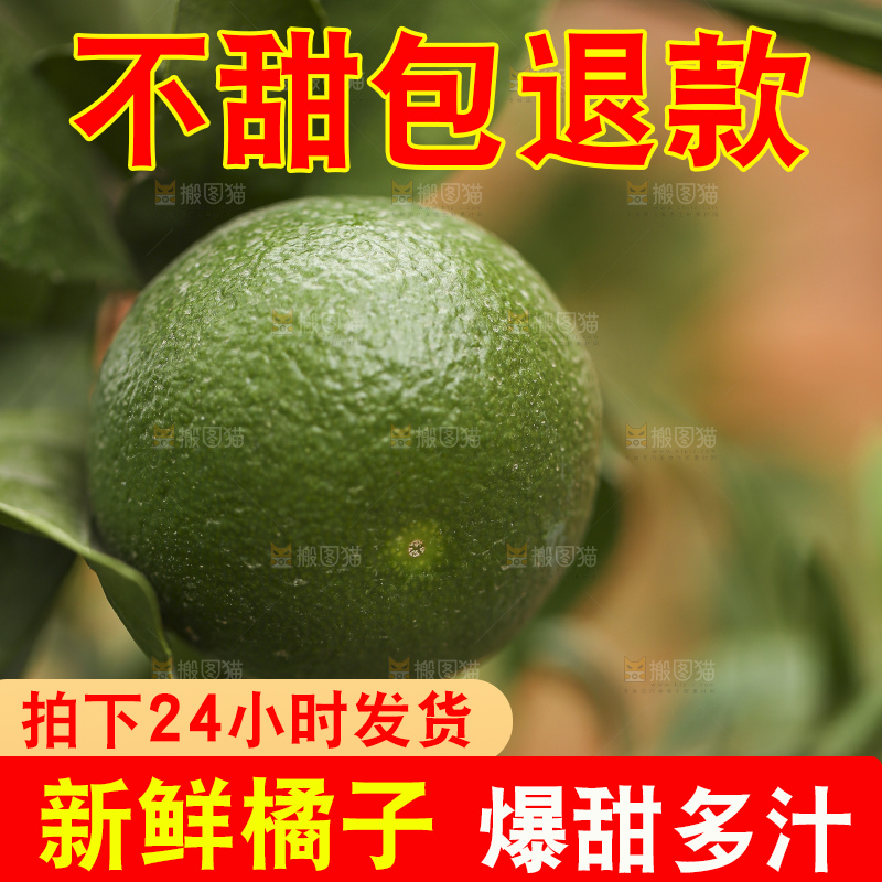 户外的青橘