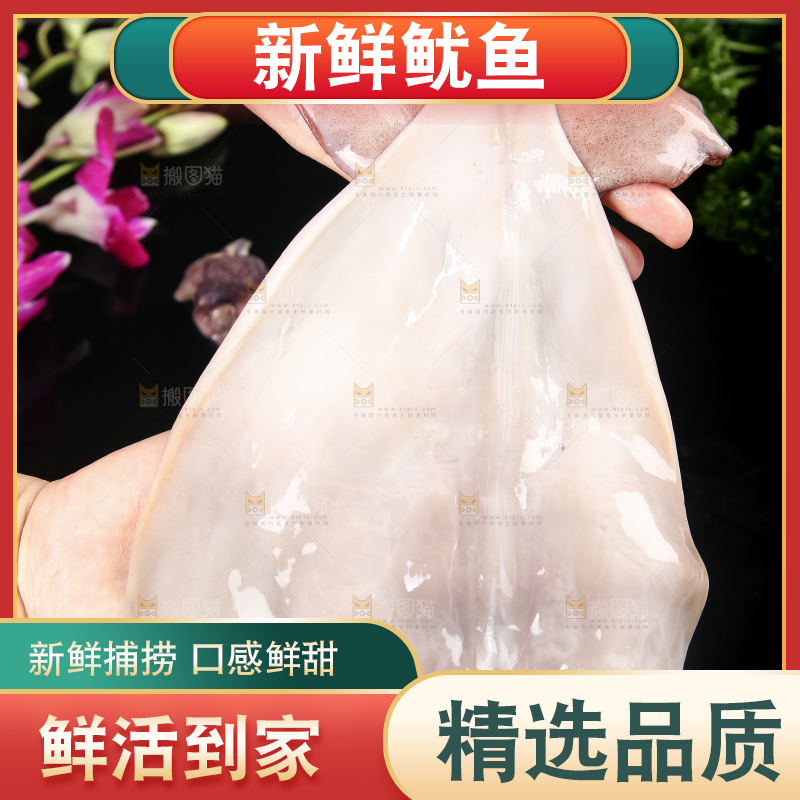 黑底上的鱿鱼