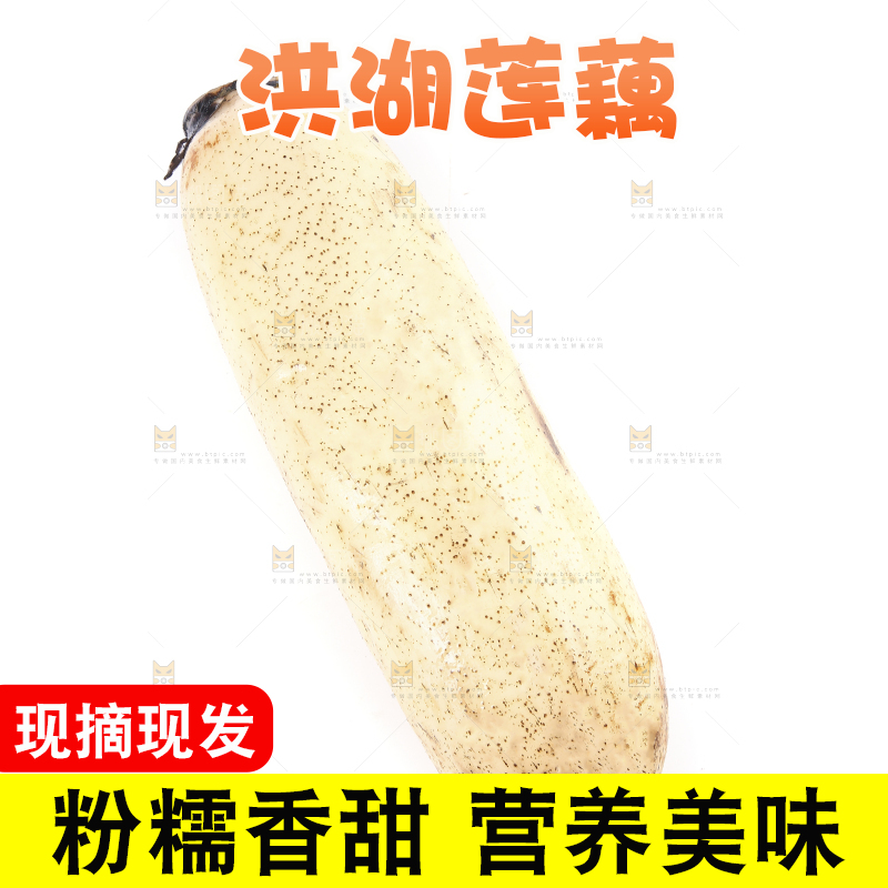 白底上放着莲藕