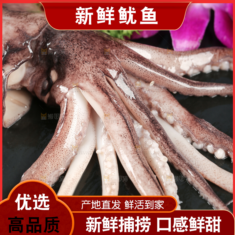 黑底上的鱿鱼