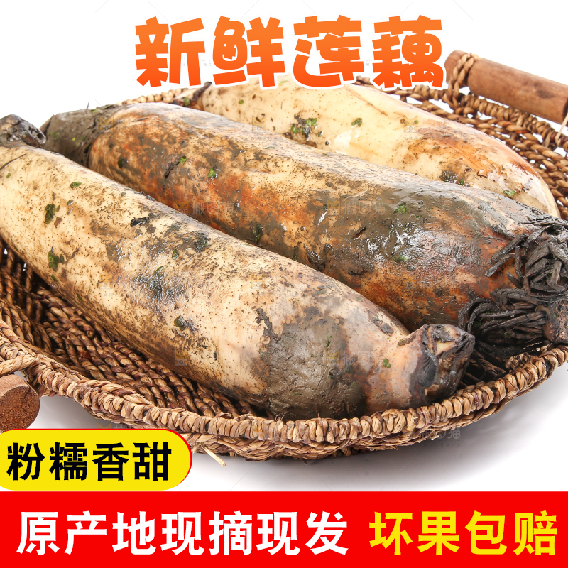 白底上放着莲藕