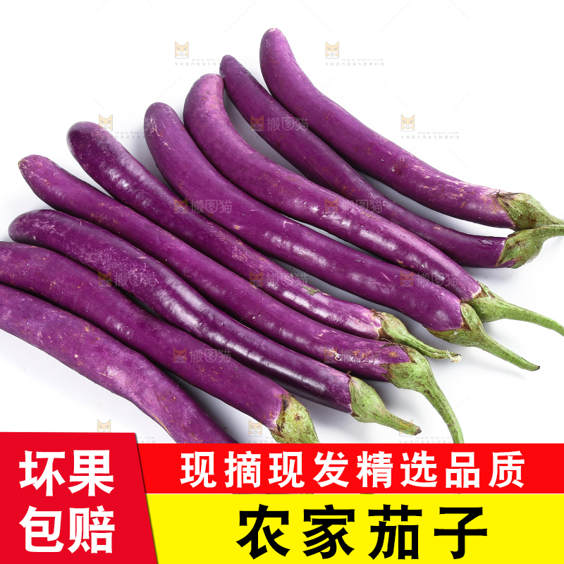 白底上的紫长茄子