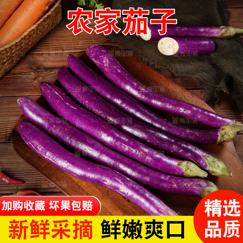 深底上的紫长茄子