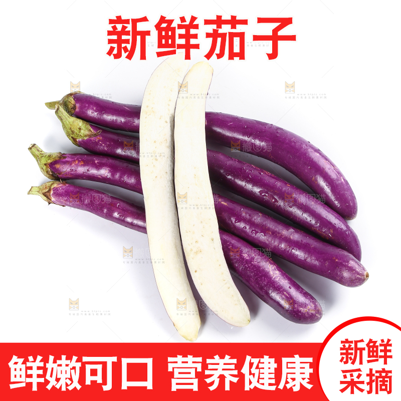 白底上的紫长茄子