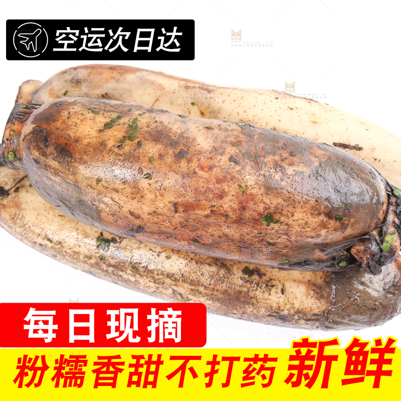 白底上放着莲藕
