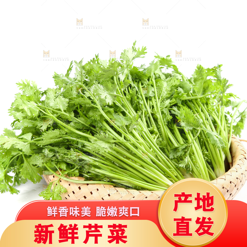 白底上的芹菜