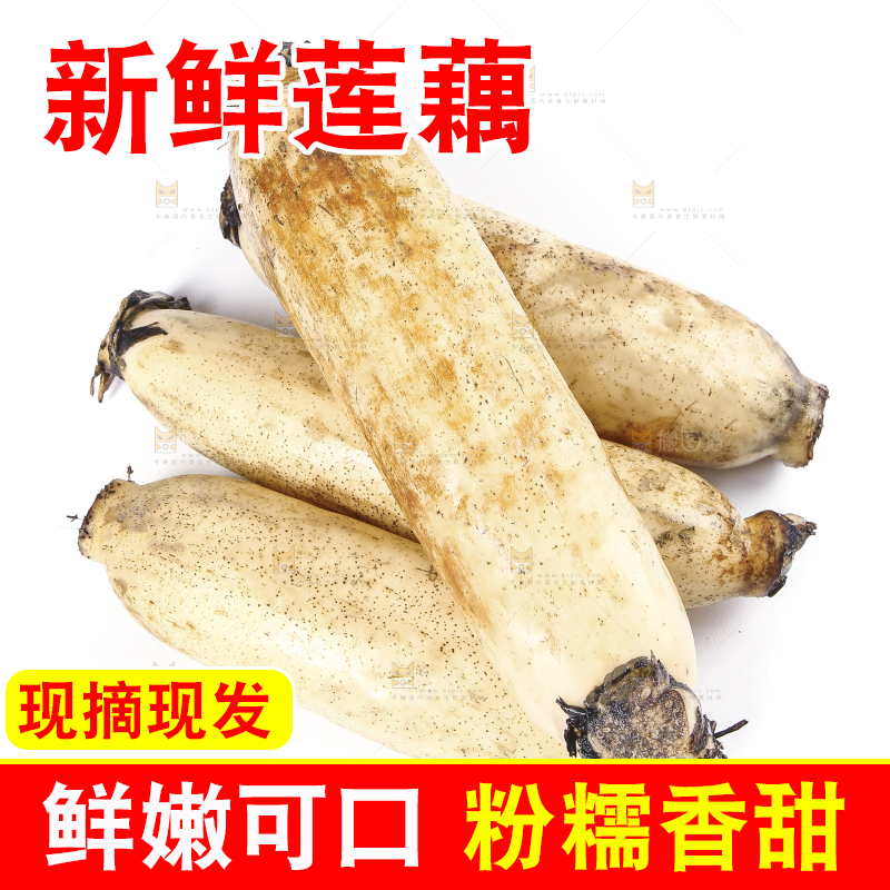 白底上放着莲藕