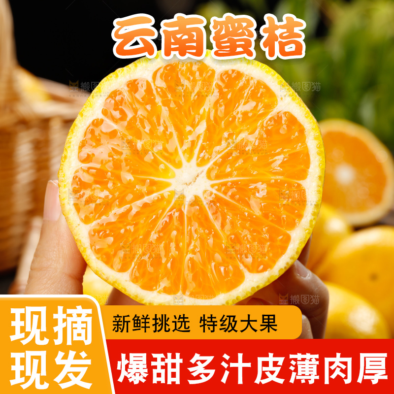 深底上的宜昌蜜桔