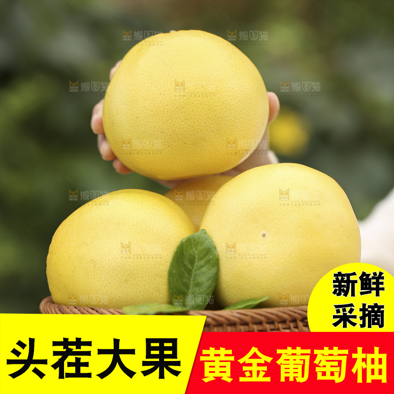 手里拿着黄金葡萄柚