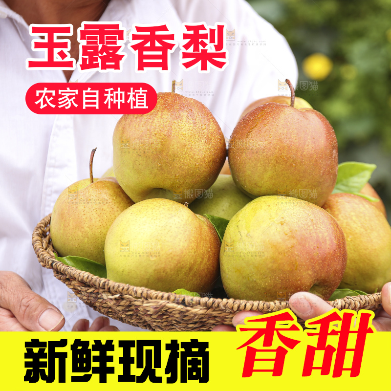 手里拿着玉露香梨