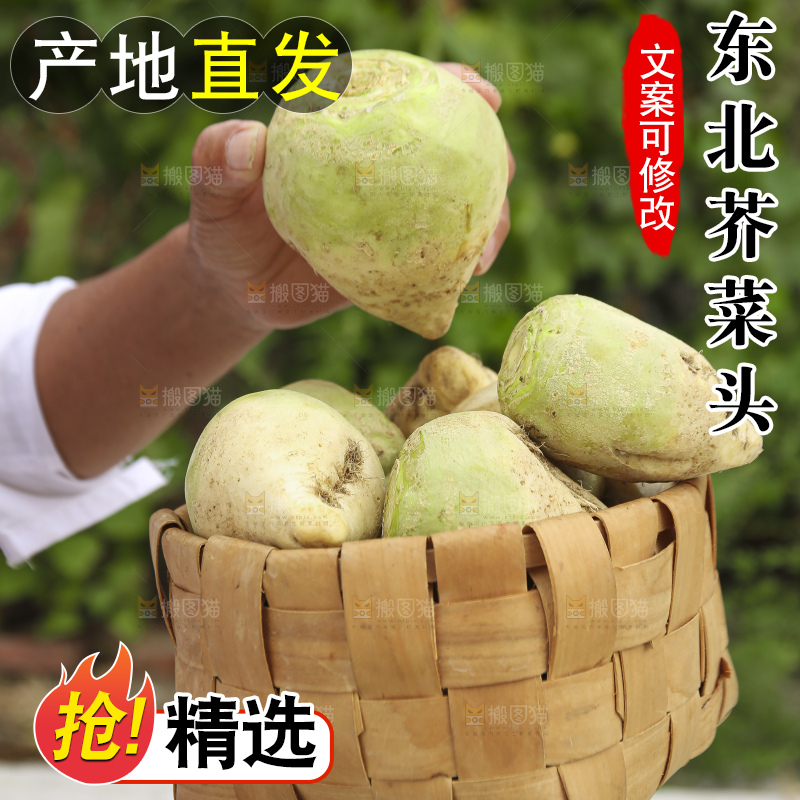 手里拿着大头芥菜