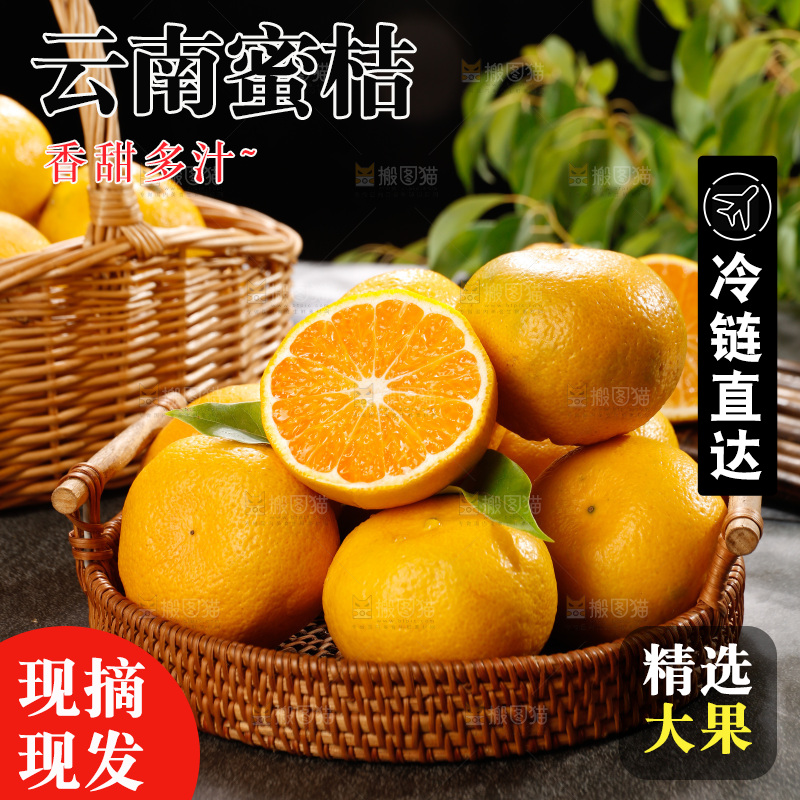 深底上的宜昌蜜桔