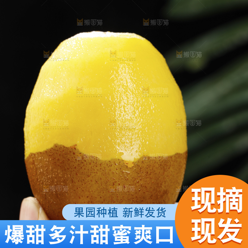 深底上放着佳沛奇异果