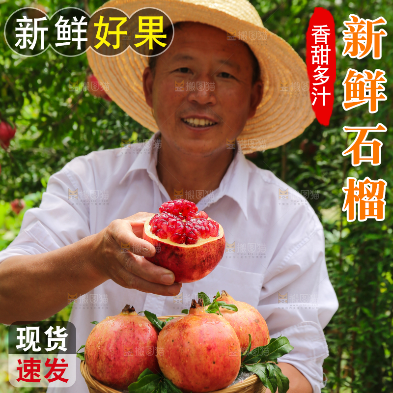 石榴产地