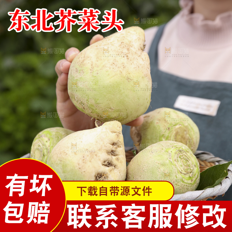 手里拿着大头芥菜