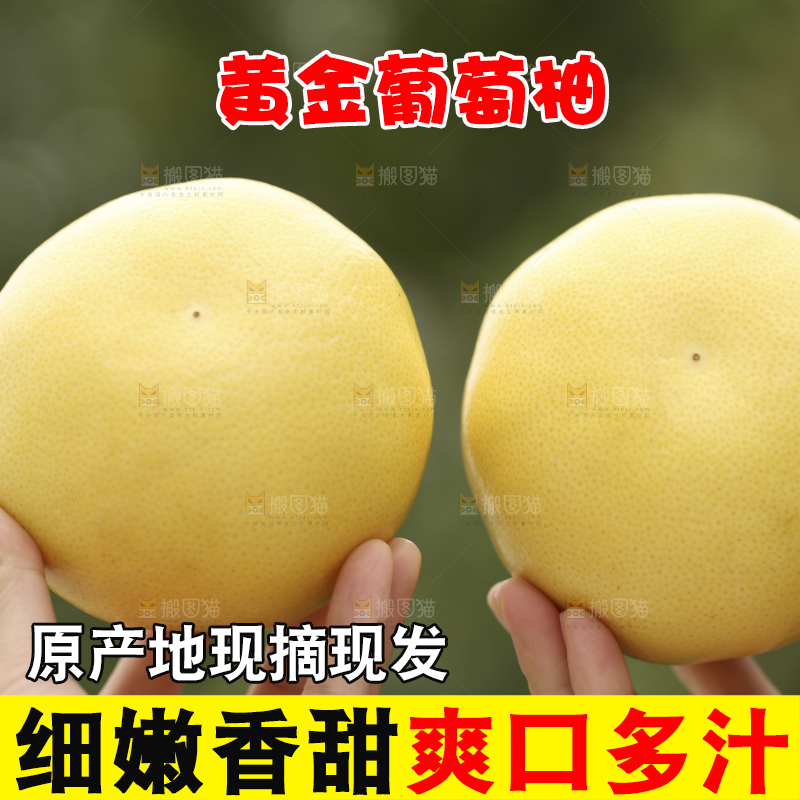 手里拿着黄金葡萄柚