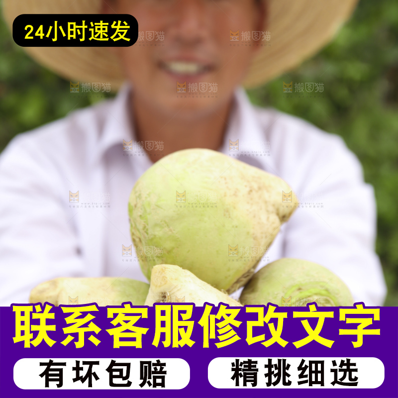 手里拿着大头芥菜