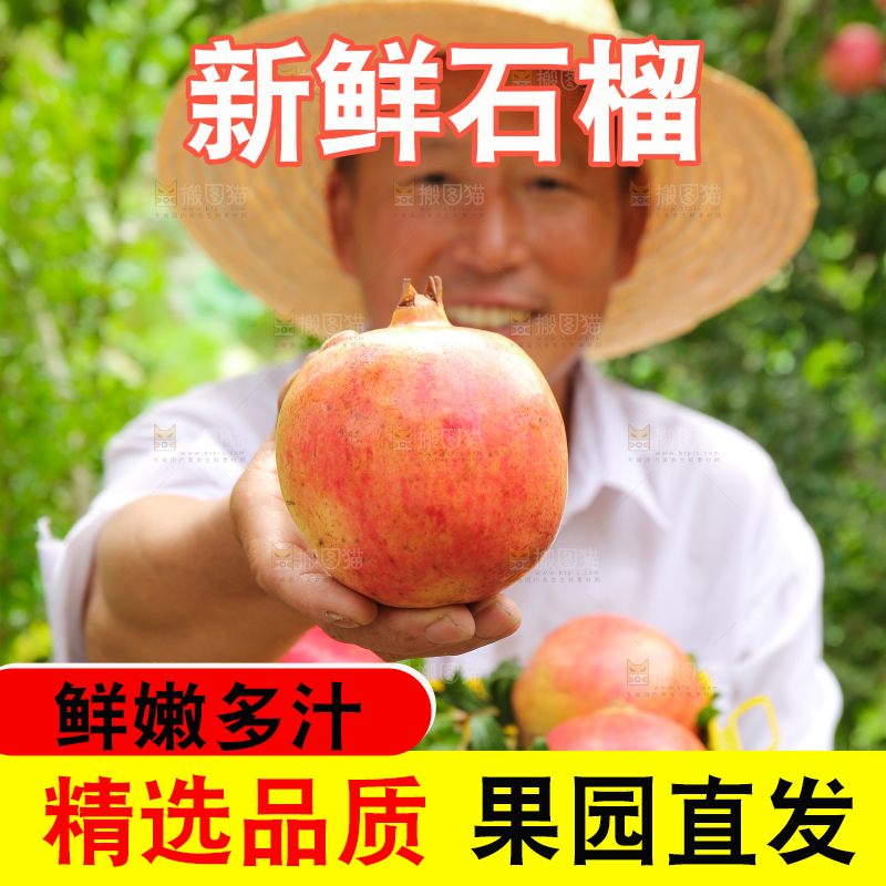 石榴产地