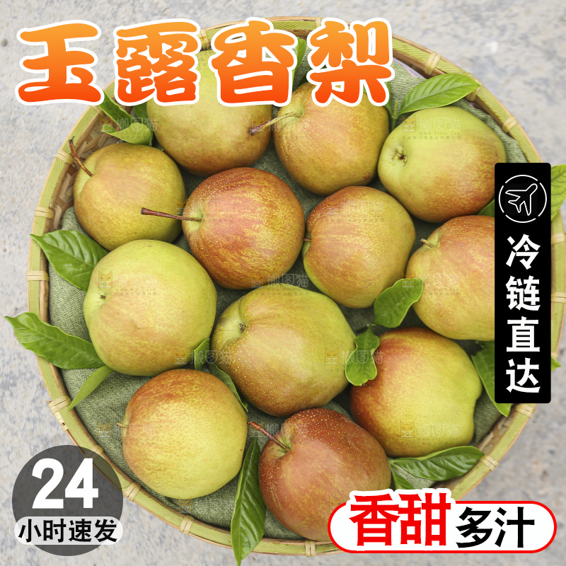 深底上的玉露香梨