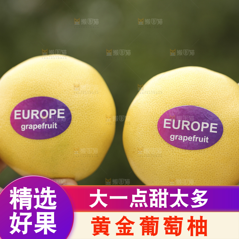手里拿着黄金葡萄柚