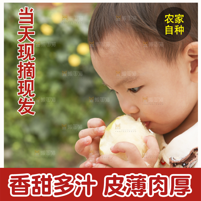 手里拿着玉露香梨