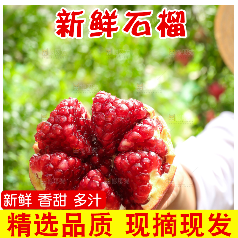石榴产地