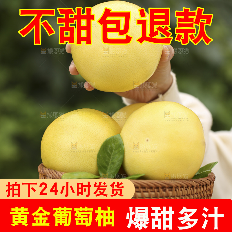 手里拿着黄金葡萄柚
