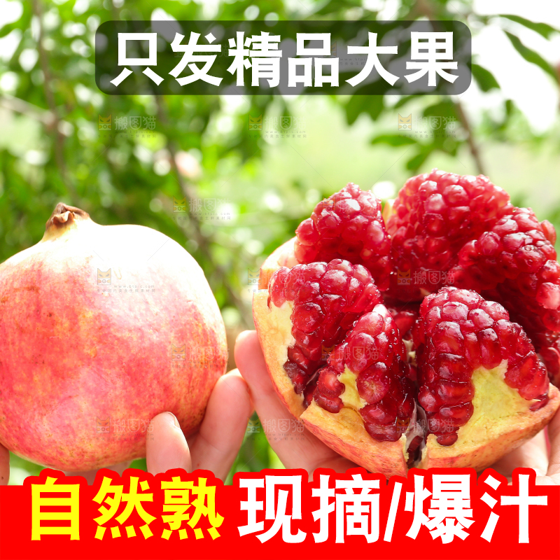 石榴产地