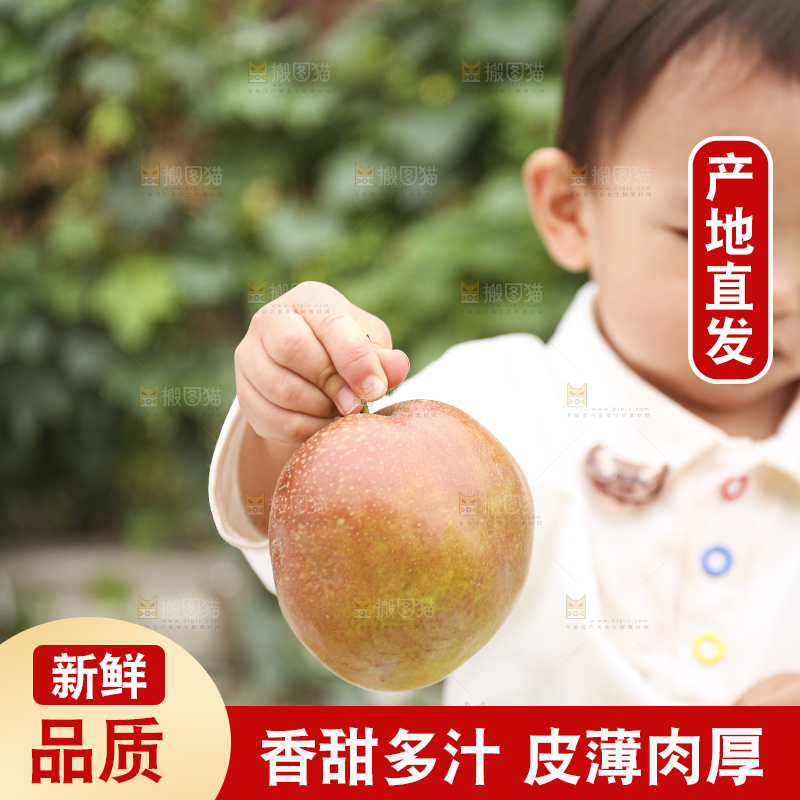 手里拿着玉露香梨